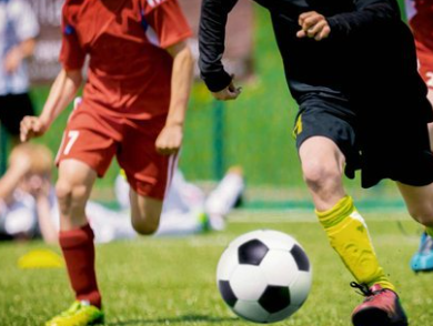 Foto - En ilginç 25 bilgi! Kafaları kopsa bile birkaç hafta yaşarlar