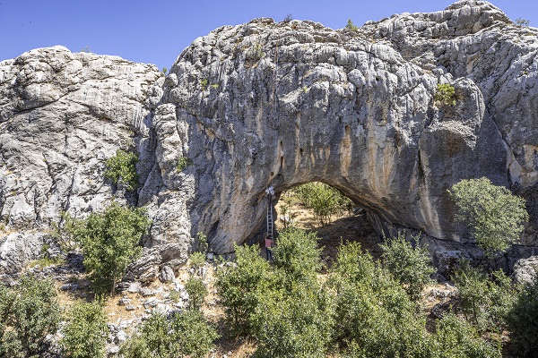 Foto - En leziz bal için zorlu tırmanış! Sarp kayalıklarda ölüm kalım mesaisi