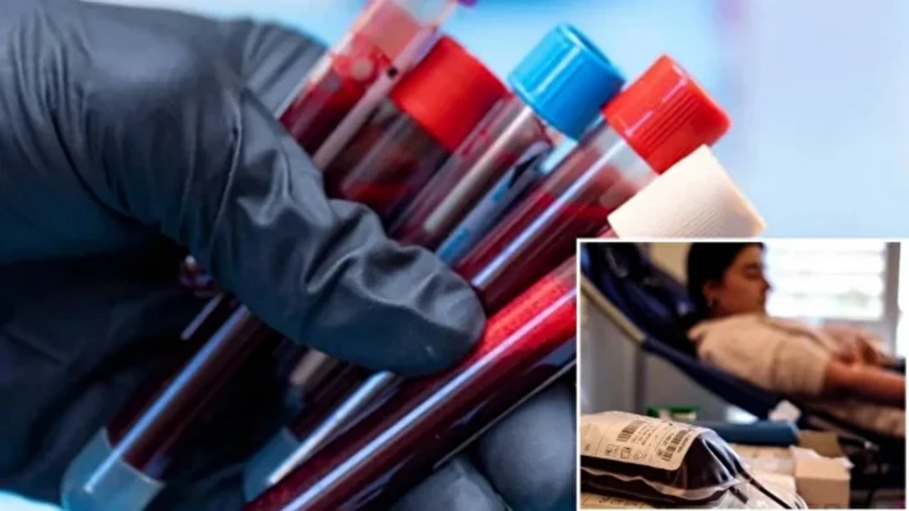 En nadir kan grubu ortaya çıktı: O kişilerde "altın kan" var