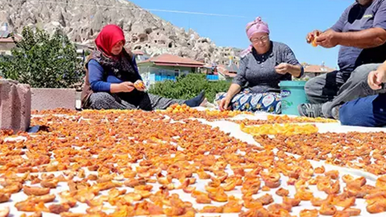 Foto - En pahalı maskelerden daha etkili, cildi mermer gibi yapıp parlatıyor: Müthiş şifa...