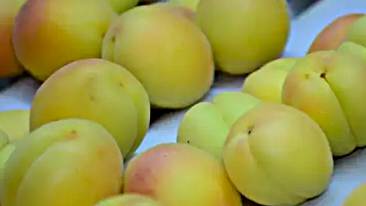 Foto - En pahalı maskelerden daha etkili, cildi mermer gibi yapıp parlatıyor: Müthiş şifa...