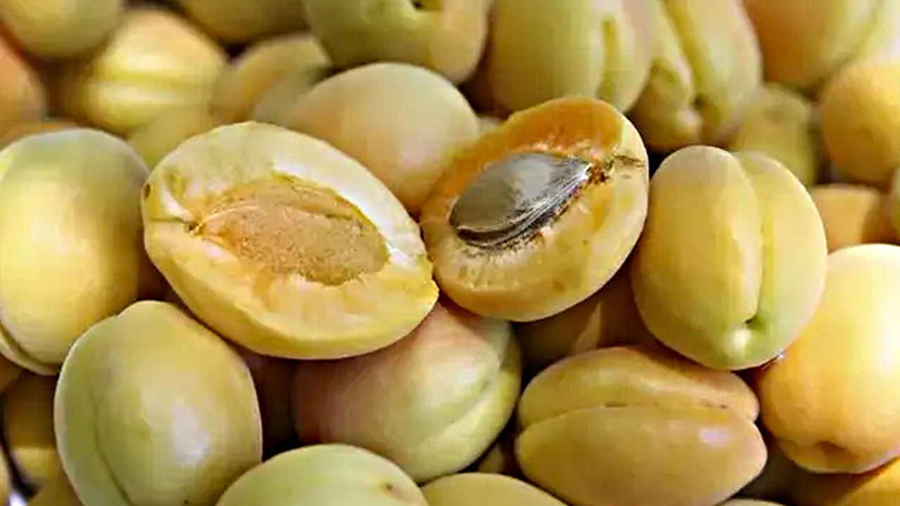 Foto - En pahalı maskelerden daha etkili, cildi mermer gibi yapıp parlatıyor: Müthiş şifa...