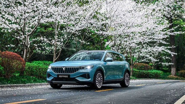 Foto - En pahalısından en ucuzuna kadar! İşte Türkiye’de elektrikli otomobiller