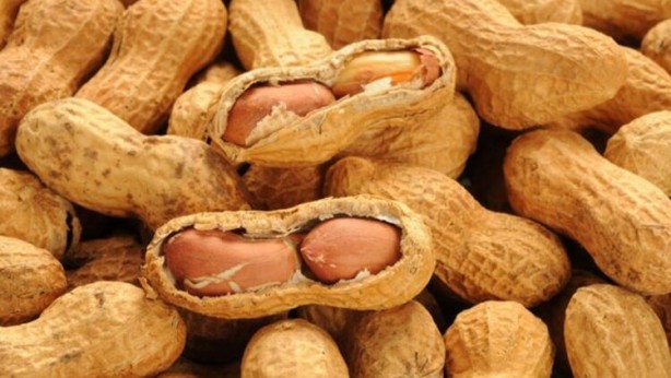 Foto - En riskli 8 yiyecek belli oldu! Yanlış tüketildikleri zaman zehir saçıyorlar