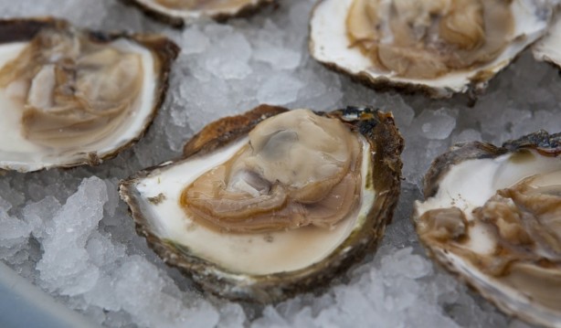 Foto - En riskli 8 yiyecek belli oldu! Yanlış tüketildikleri zaman zehir saçıyorlar