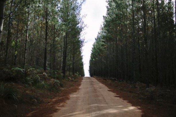 Foto - En saçma 16 fobi