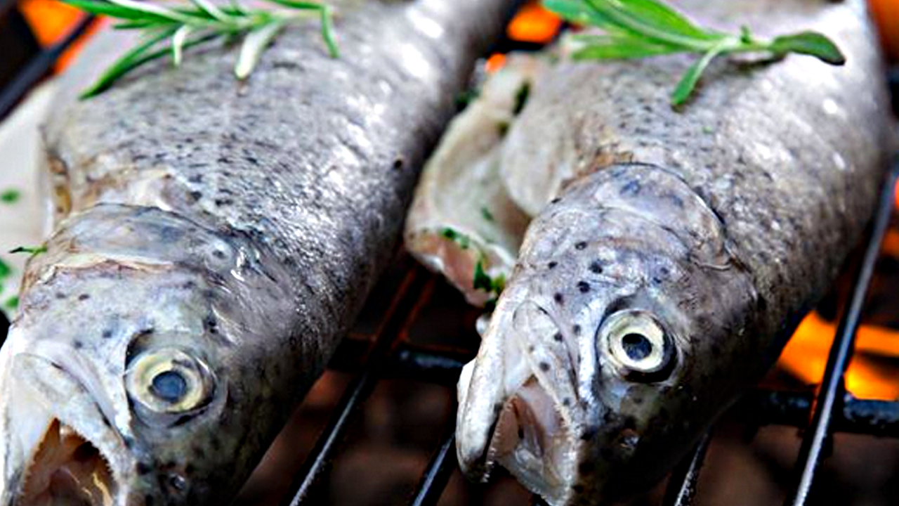 Foto - En Sağlıklı Balık Pişirme Yöntemi Hangisi? Hangi yöntem uyarısı çok önemli çok…