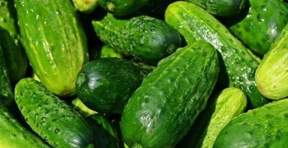 Foto - En sağlıklı ekmek belli oldu! Tam buğday, çavdar, kepek…