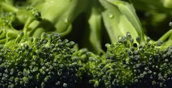 Foto - En sağlıklı ekmek belli oldu! Tam buğday, çavdar, kepek…