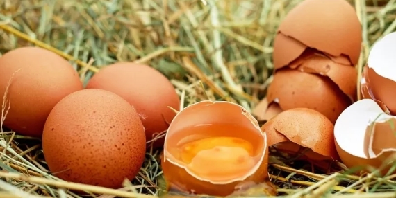 Foto - En sağlıklı ekmek belli oldu! Tam buğday, çavdar, kepek…