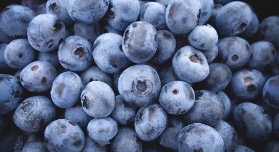 Foto - En sağlıklı ekmek belli oldu! Tam buğday, çavdar, kepek…