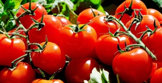 Foto - En sağlıklı ekmek belli oldu! Tam buğday, çavdar, kepek…