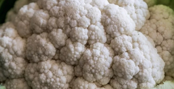 Foto - En sağlıklı ekmek belli oldu! Tam buğday, çavdar, kepek…