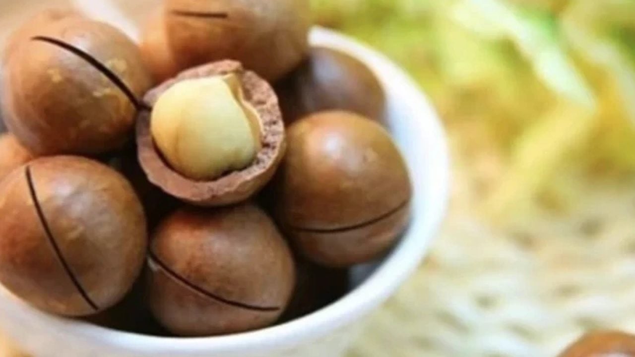 Foto - Dünyanın en sağlıklısı seçilmişti: İşte faydası saymakla bitmeyen mucize gıda!