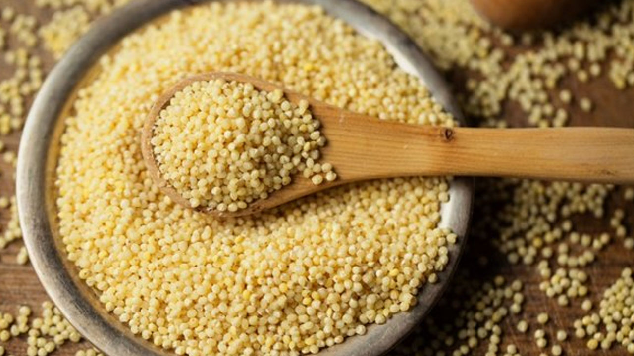 Foto - En sağlıklı tahıl seçildi