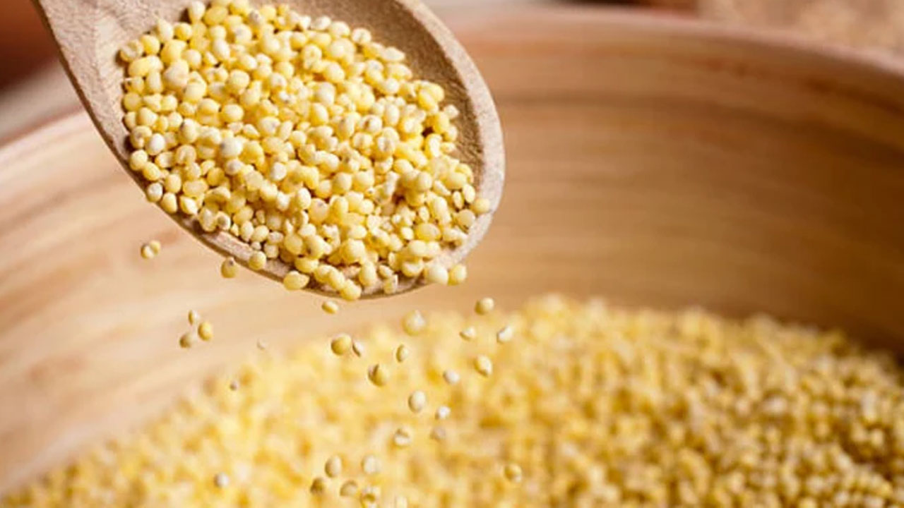 Foto - En sağlıklı tahıl seçildi