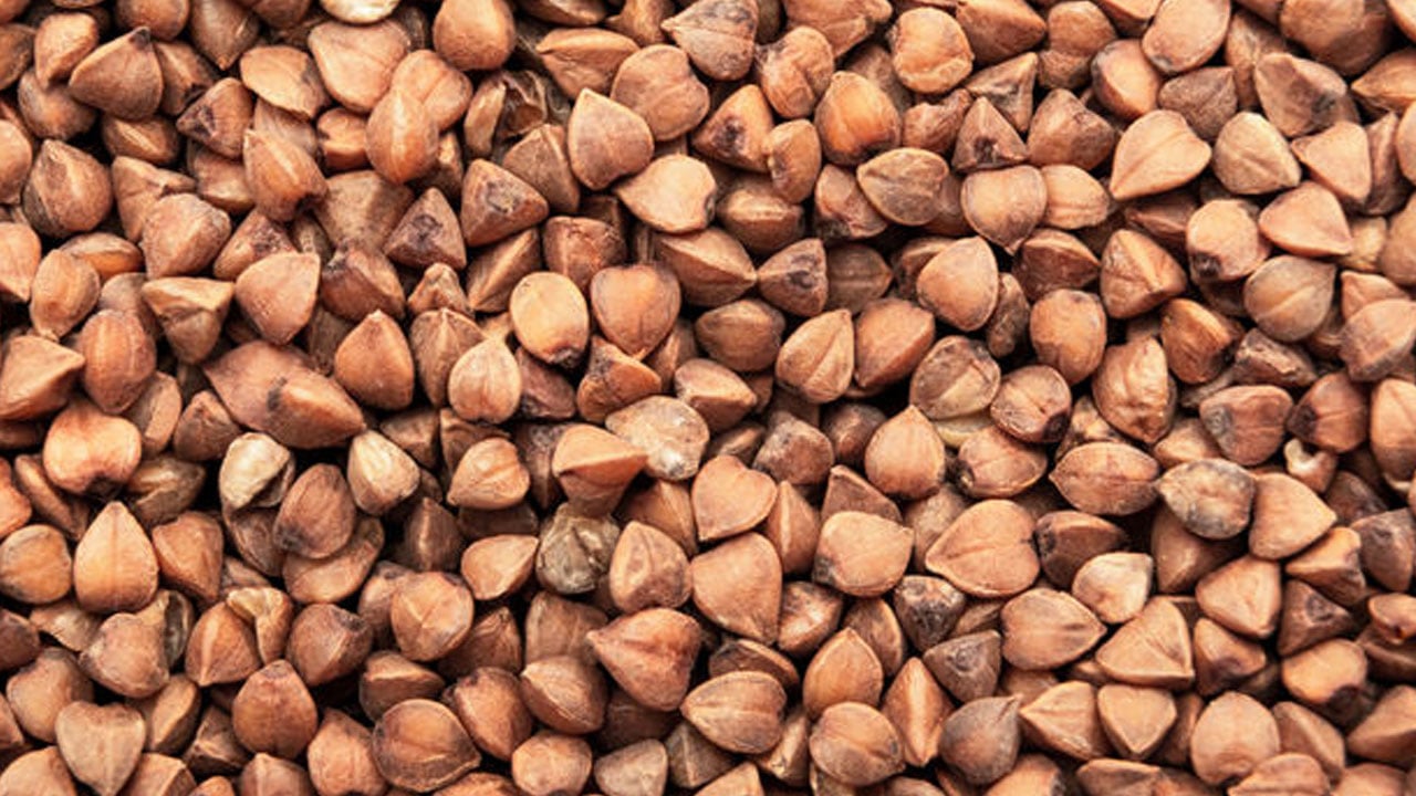 Foto - En sağlıklı tahıl seçildi