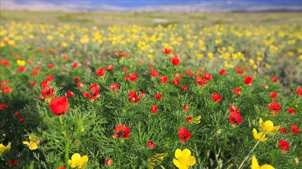 Foto - En sevdiğiniz mevsim kişiliğinizi ortaya koyuyor! Siz en çok hangi mevsimi seviyorsunuz?