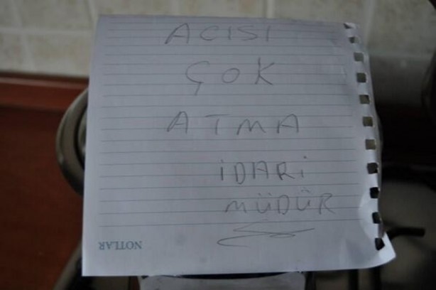 Foto - En sevimli anne notları