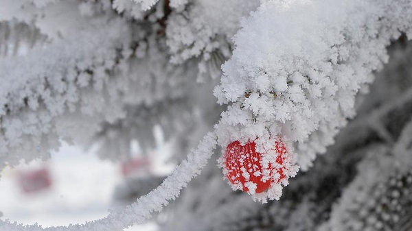 Foto - En sıcak il şaşırtacak! 53 yılın sıcaklık rekorları açıklandı
