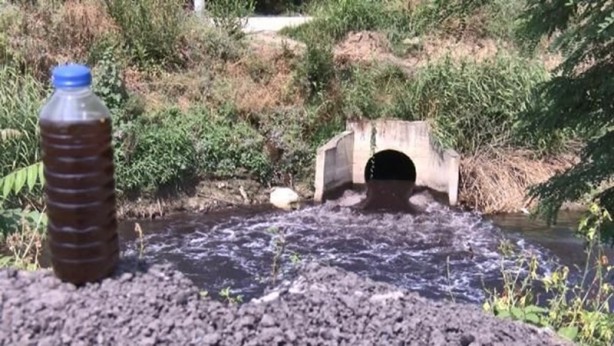 Foto - 'En sonunda gözümüze soktu' dedi! Skandal görüntü