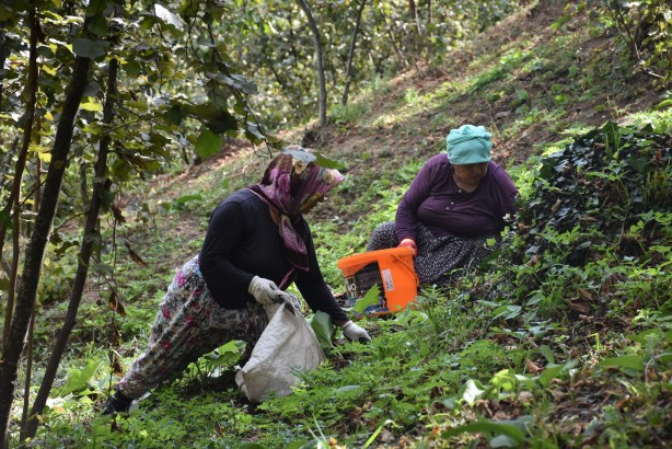 Foto - En sonunda isyan etti: 1200 lira yevmiye veriyoruz kimse çalışmıyor