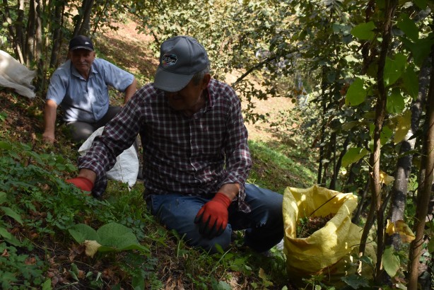 Foto - En sonunda isyan etti: 1200 lira yevmiye veriyoruz kimse çalışmıyor