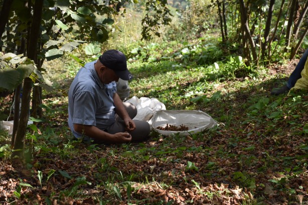 Foto - En sonunda isyan etti: 1200 lira yevmiye veriyoruz kimse çalışmıyor