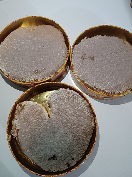 Foto - En tatlı hasat! Dört dağın zirvesinden toplanıyor