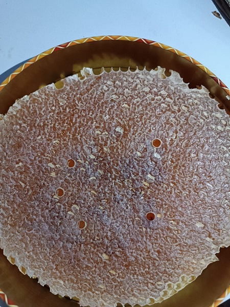 Foto - En tatlı hasat! Dört dağın zirvesinden toplanıyor