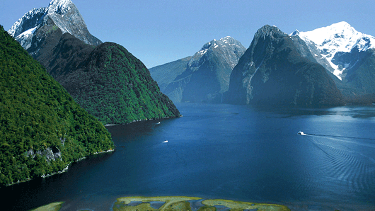 Foto - En uykucu millet belli oldu! Günlerinin çoğunu uyuyarak geçiriyorlar!