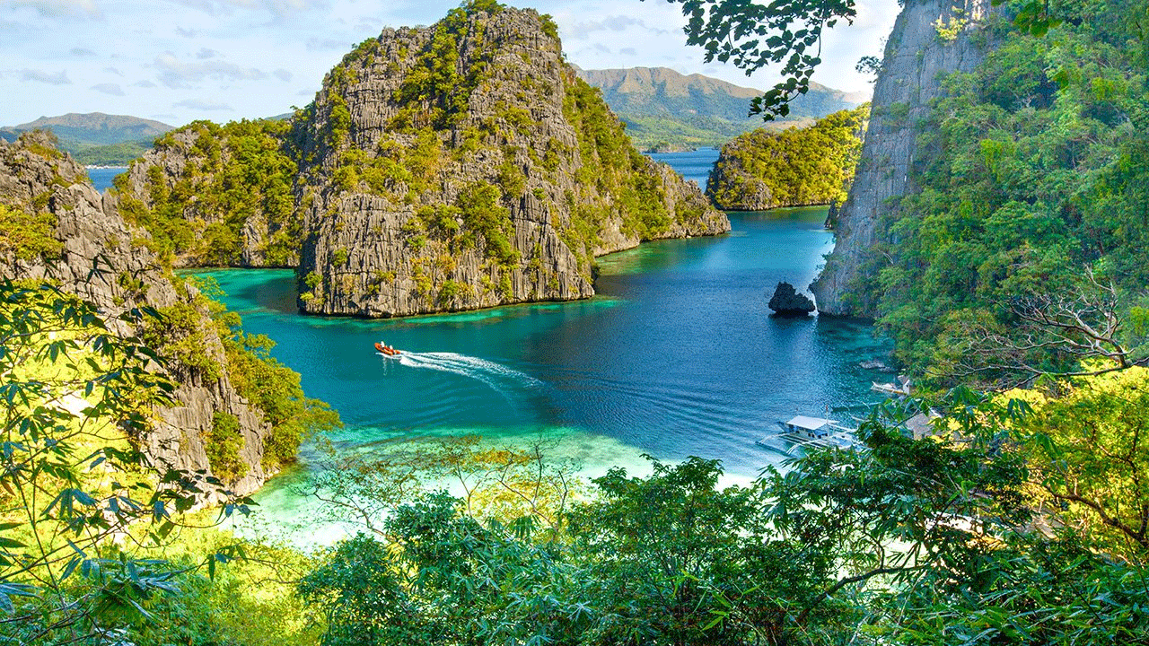 Foto - En uykucu millet belli oldu! Günlerinin çoğunu uyuyarak geçiriyorlar!