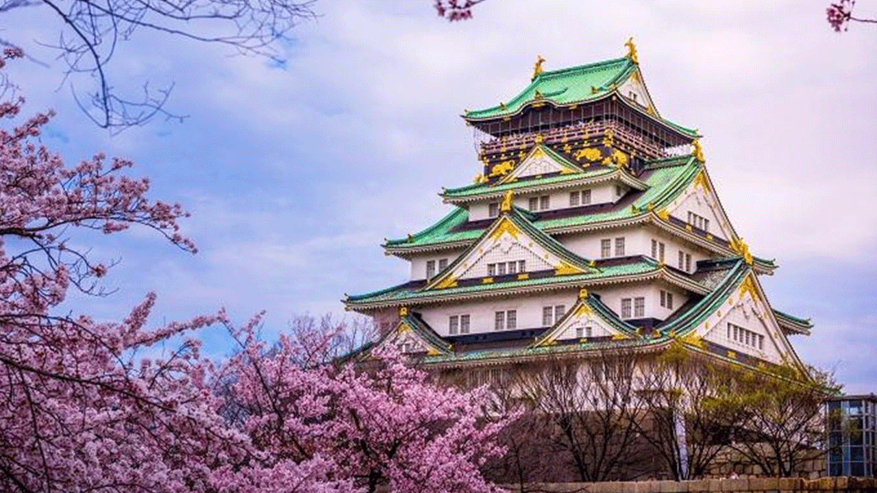 Foto - En uykucu millet belli oldu! Günlerinin çoğunu uyuyarak geçiriyorlar!