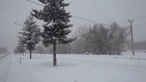 Foto - En yüksek ikinci il! Kar kalınlığı 1 metreyi aştı