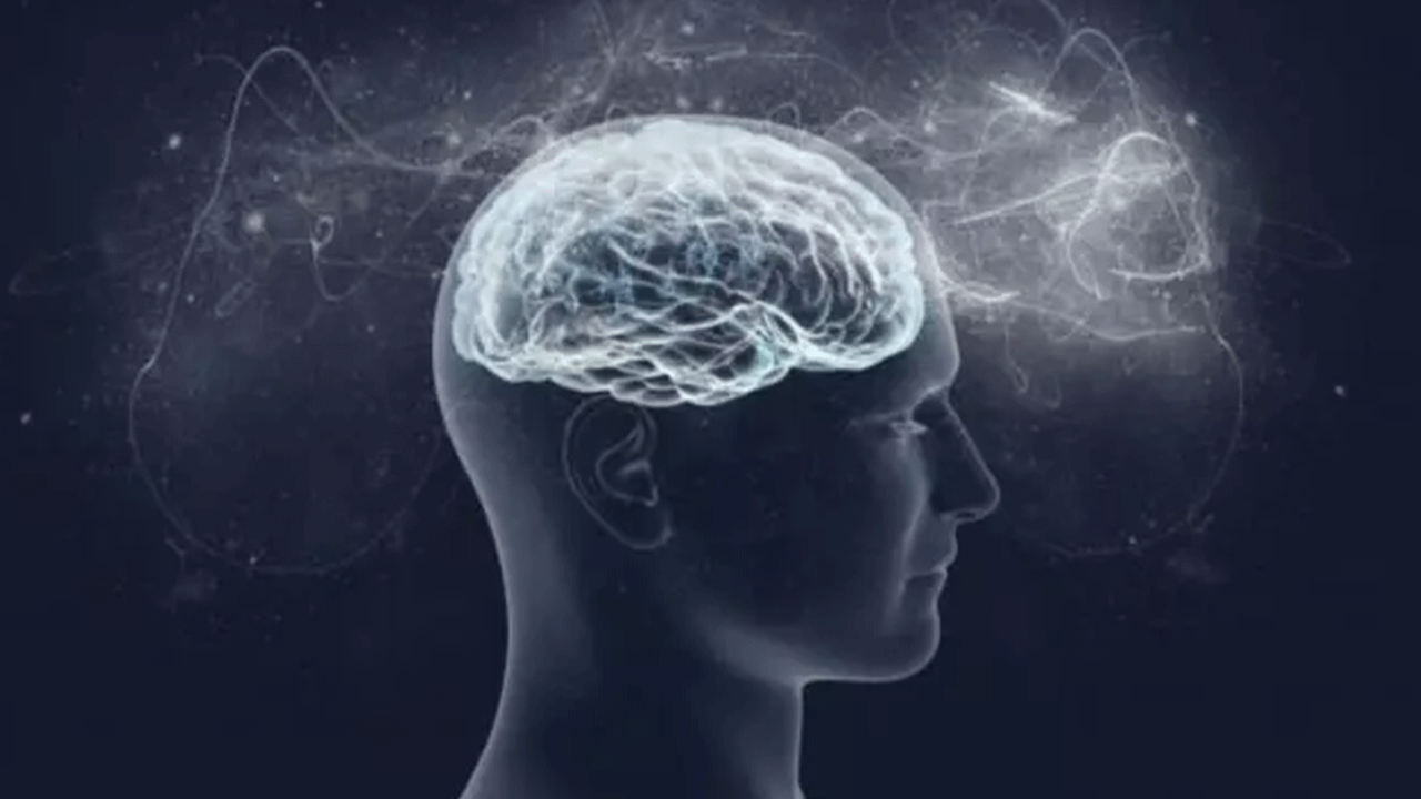 En yüksek IQ'ya sahip iller belli oldu...Sizin memleketiniz kaçıncı sırada?