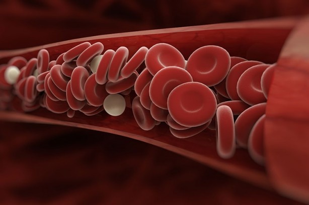 Foto - En zeki kan grubu belli oldu! O kana sahip olanların beyni...