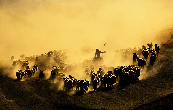 Foto - En zorlu göç yolculuğu! 