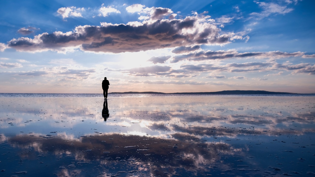 Foto - Endemik bitki türleri böyle korunacak