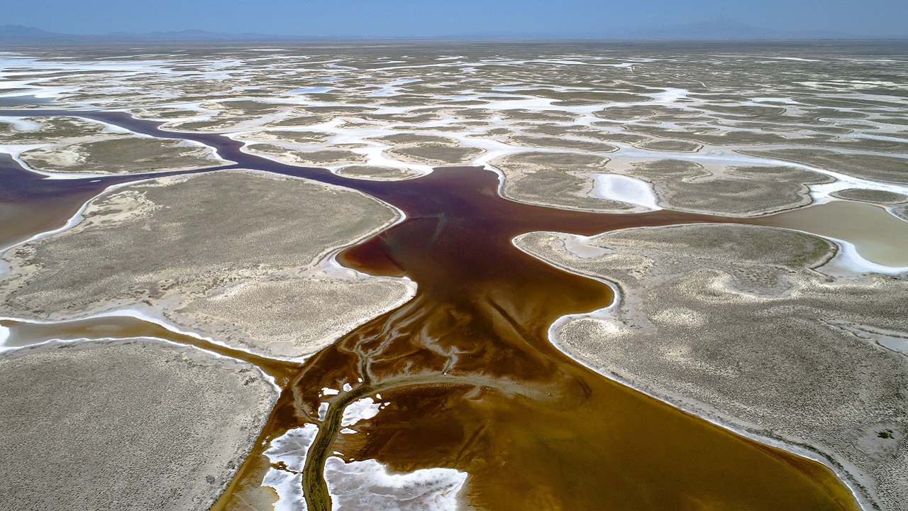 Foto - Endemik bitki türleri böyle korunacak