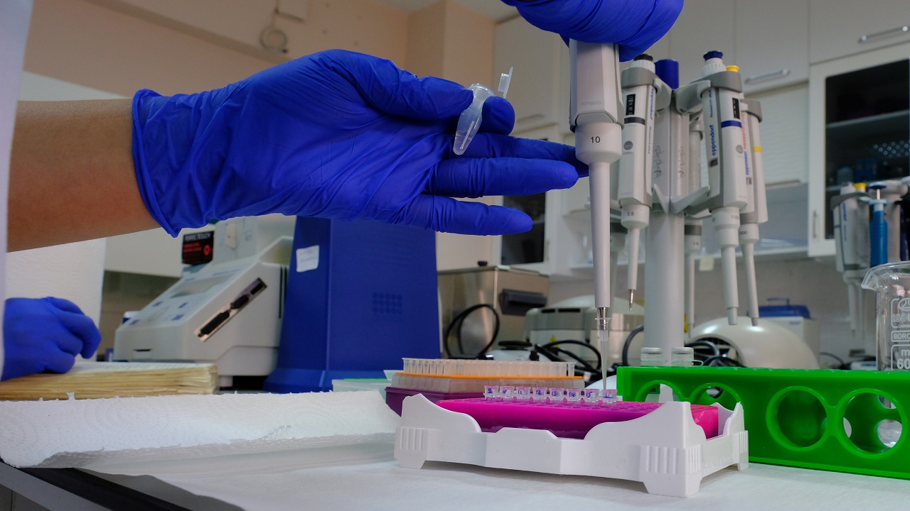 Foto - Endemik bitki türleri böyle korunacak