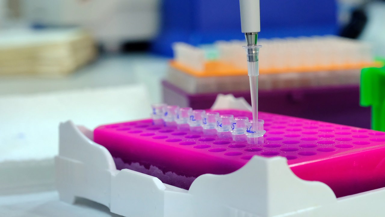 Foto - Endemik bitki türleri böyle korunacak