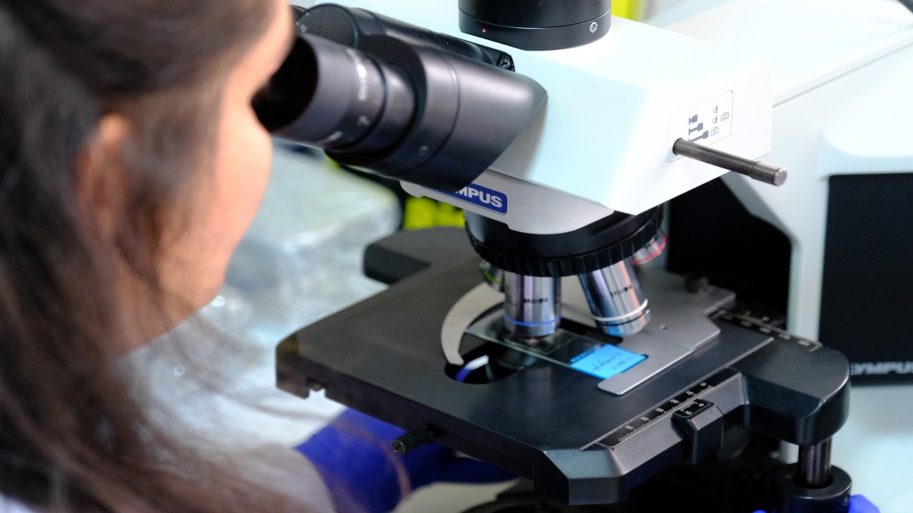 Foto - Endemik bitki türleri böyle korunacak