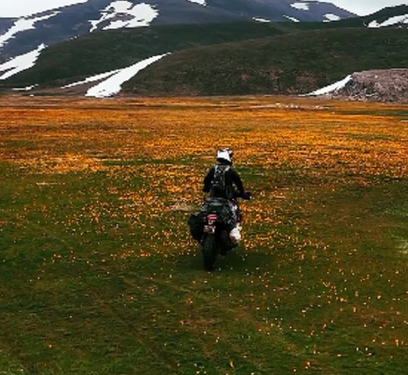 Foto - Endemik çiçekleri ezdiler