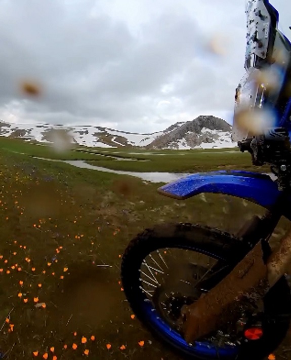 Foto - Endemik çiçekleri ezdiler