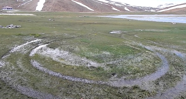 Foto - Endemik çiçekleri ezdiler