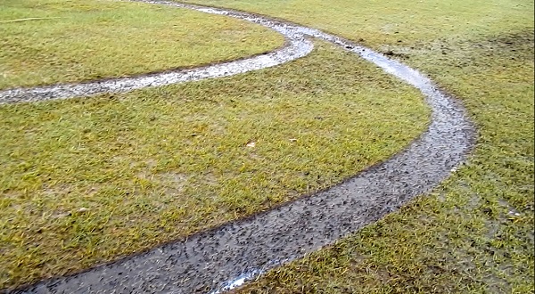 Foto - Endemik çiçekleri ezdiler