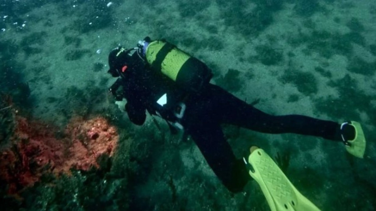 Foto - Ender rastlanan balık o ilimizde gün yüzüne çıktı! "Hayran kalmamak mümkün değil