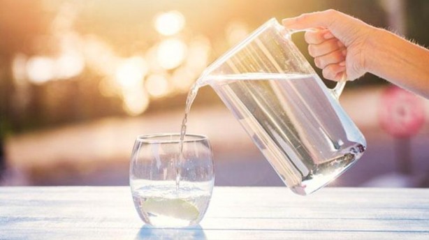 Foto - Ender Saraç açıkladı, işte en etkili diyet! Hurma-yoğurt yiyen göbek yağı nedir bilmiyor