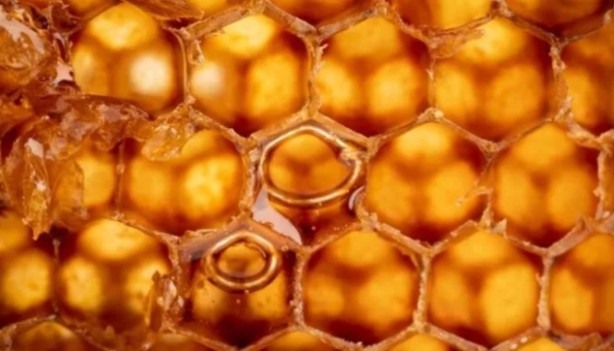 Foto - Ender Saraç'tan pratik ve doğal 10 öneri! Kalkanınız bağışıklığınız olsun