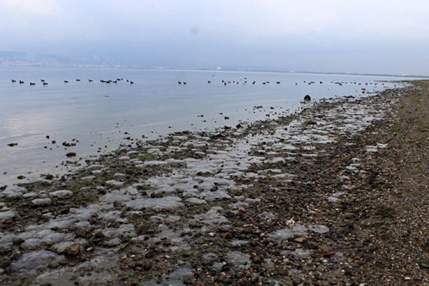 Endişelendiren görüntü: İlk kez bu sabah gördük